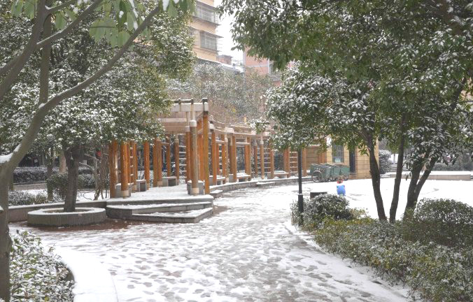 初雪逢周末，多个项目及时展开清理工作