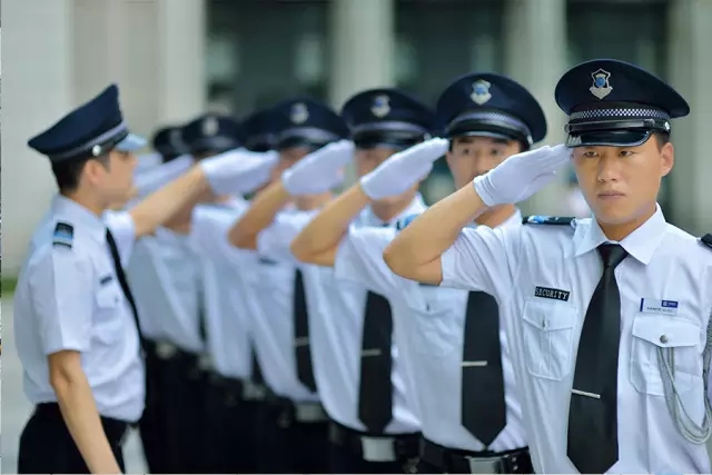 精进专业技能，共护和谐家园